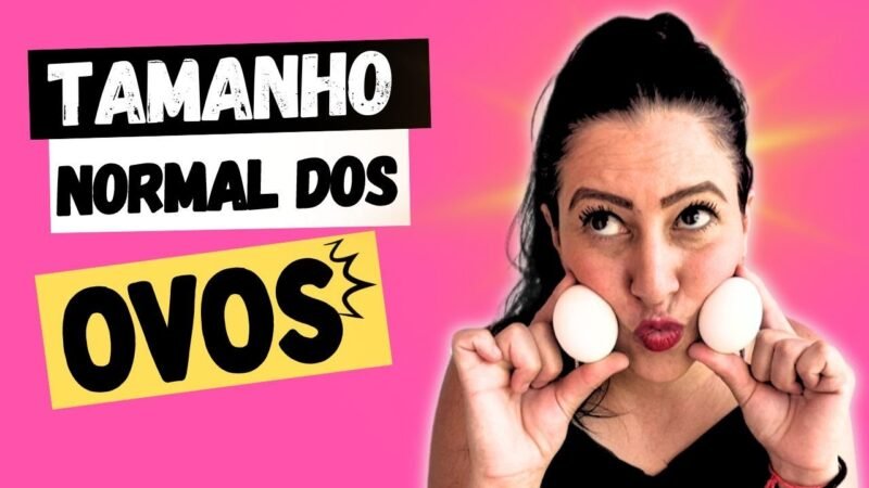 QUAL O TAMANHO IDEAL?