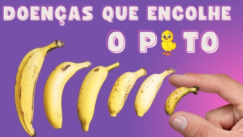 Quall encolhe mais. ??