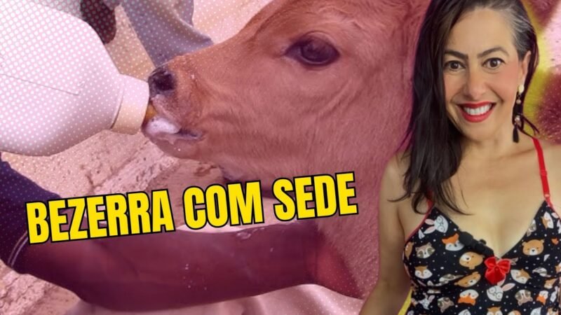 BEZERRA COM SEDE /TÉCNICA INFALÍVEL