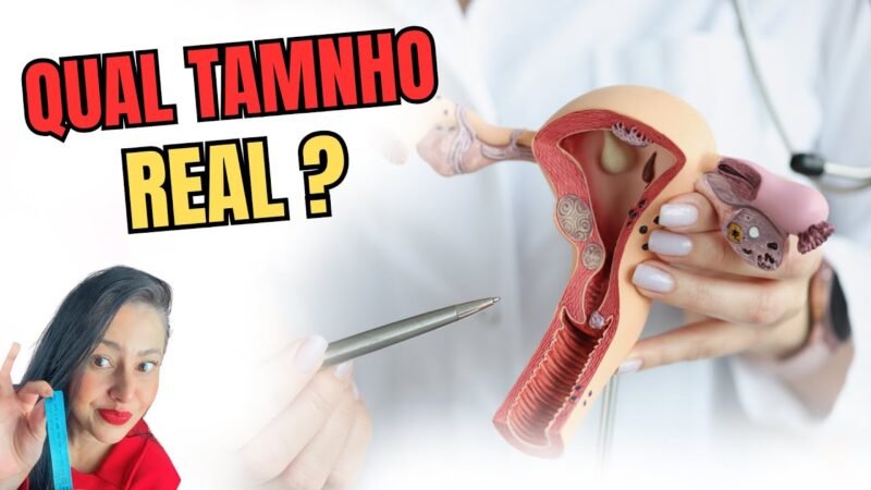 QUAL O TAMANHO REAL DA PERSEGUIDA