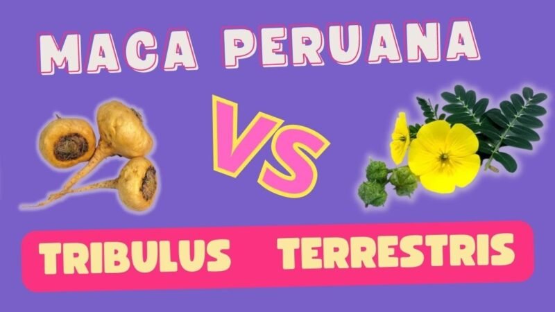 MACA  E TRIBULUS POSSO  USAR OS DOIS JUNTOS ? 🌿🌱🍃🌾🌾
