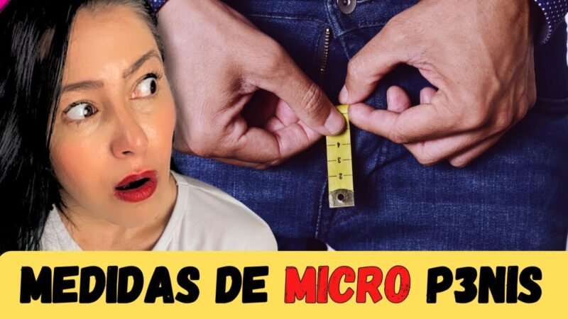 MEDIDAS PARA MICRO BRAULAHO