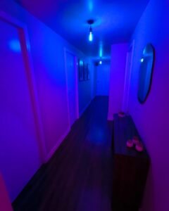 Agregue valor ao seu JOB!